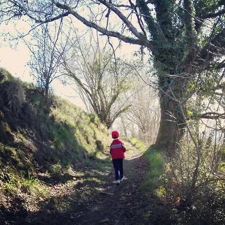 Casalacapillajelgueres *