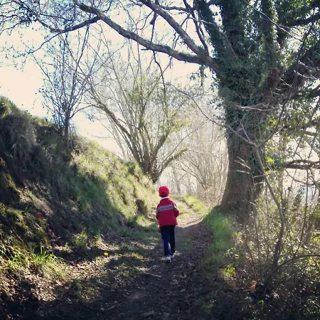 Casalacapillajelgueres